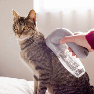 portable-pet-hair-vacuum-dog-and-cat-grooming-vacuum-cleaner-removes-loose-fur-and-dander-low-noise-lightweight-design-