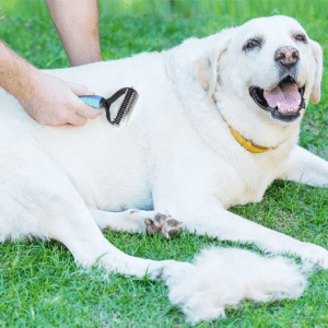 petdemattingcombforeasyandknotfreegrooming