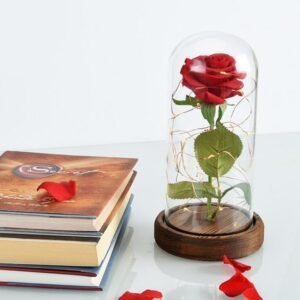 Enchanted-Rose-Lamp-Led-Decorative-Light-romantic-bedroom-decor-soft-ambient-lighting-gift