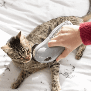 Handheld Vacuum Cleaner Portable Pet Hair Remover