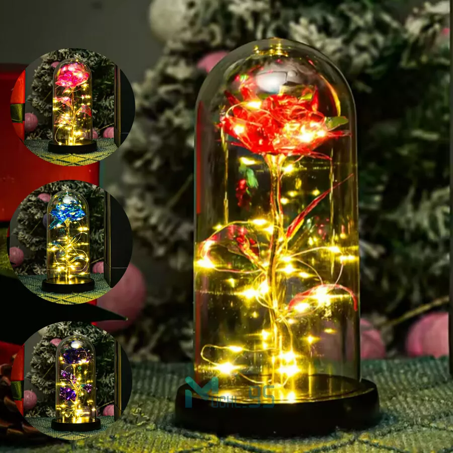 eternarose glass encased preserved rose gift